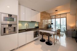 The Scotts Tower (D9), Condominium #473343501